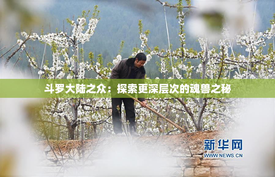 斗罗大陆之众：探索更深层次的魂兽之秘