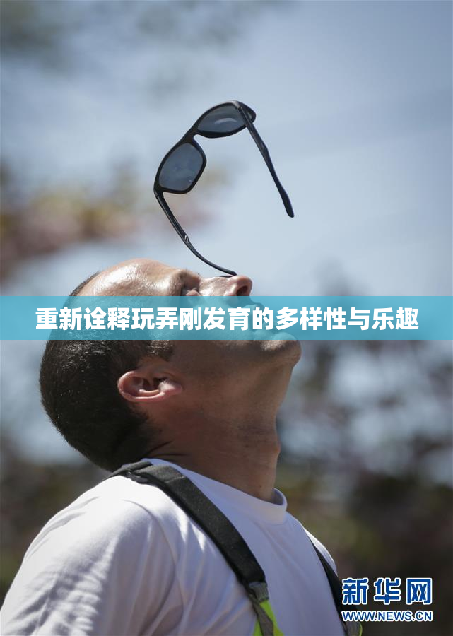 重新诠释玩弄刚发育的多样性与乐趣