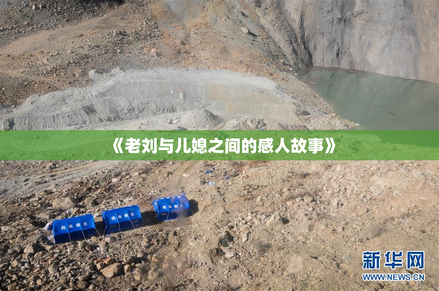 《老刘与儿媳之间的感人故事》