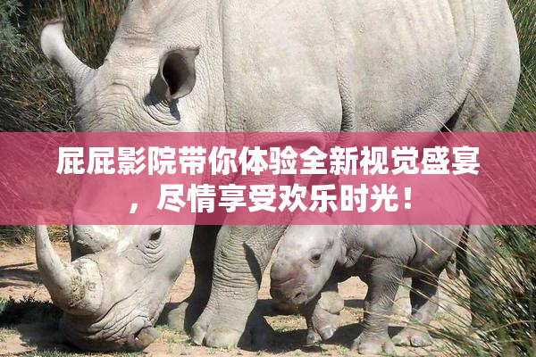 屁屁影院带你体验全新视觉盛宴，尽情享受欢乐时光！