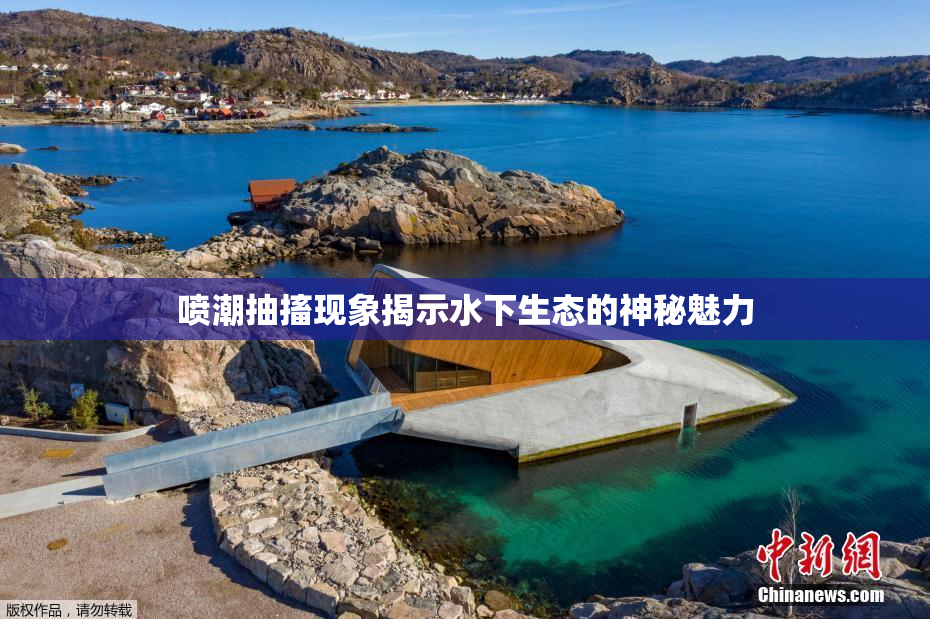 喷潮抽搐现象揭示水下生态的神秘魅力