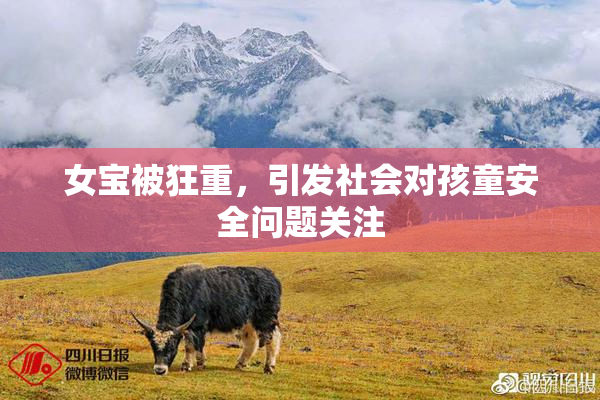 女宝被狂重，引发社会对孩童安全问题关注