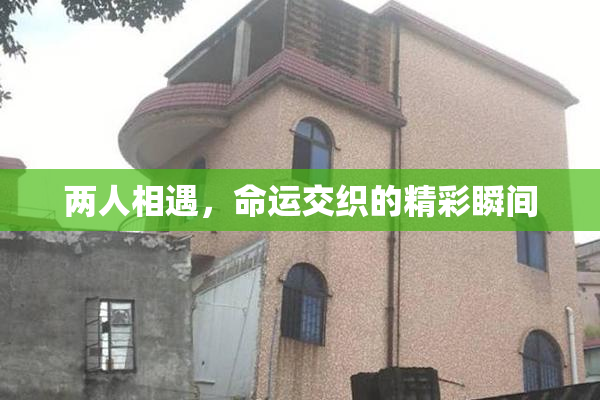 两人相遇，命运交织的精彩瞬间