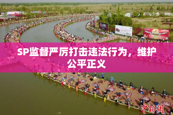 SP监督严厉打击违法行为，维护公平正义