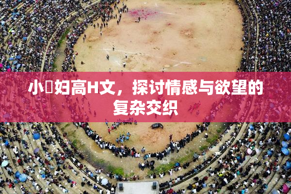 小婬妇高H文，探讨情感与欲望的复杂交织