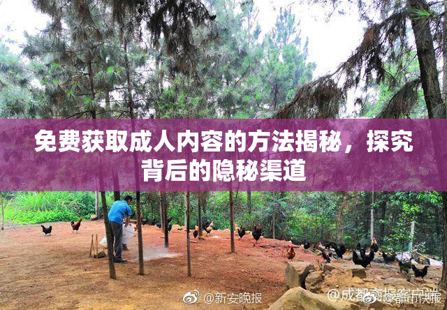 免费获取成人内容的方法揭秘，探究背后的隐秘渠道