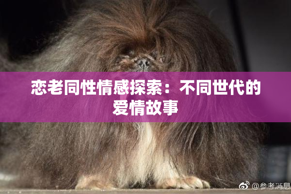 恋老同性情感探索：不同世代的爱情故事