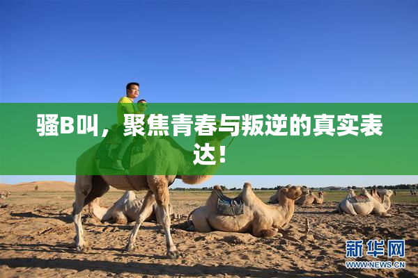 骚B叫，聚焦青春与叛逆的真实表达！
