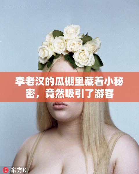 李老汉的瓜棚里藏着小秘密，竟然吸引了游客