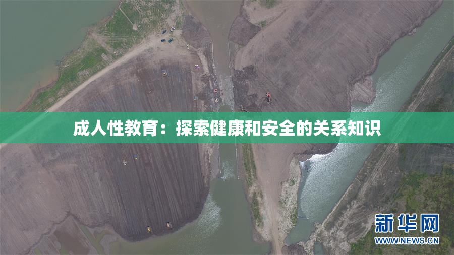 成人性教育：探索健康和安全的关系知识