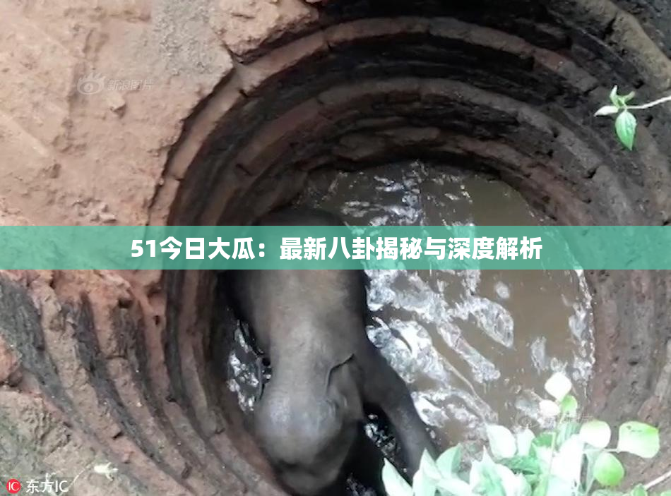 51今日大瓜：最新八卦揭秘与深度解析