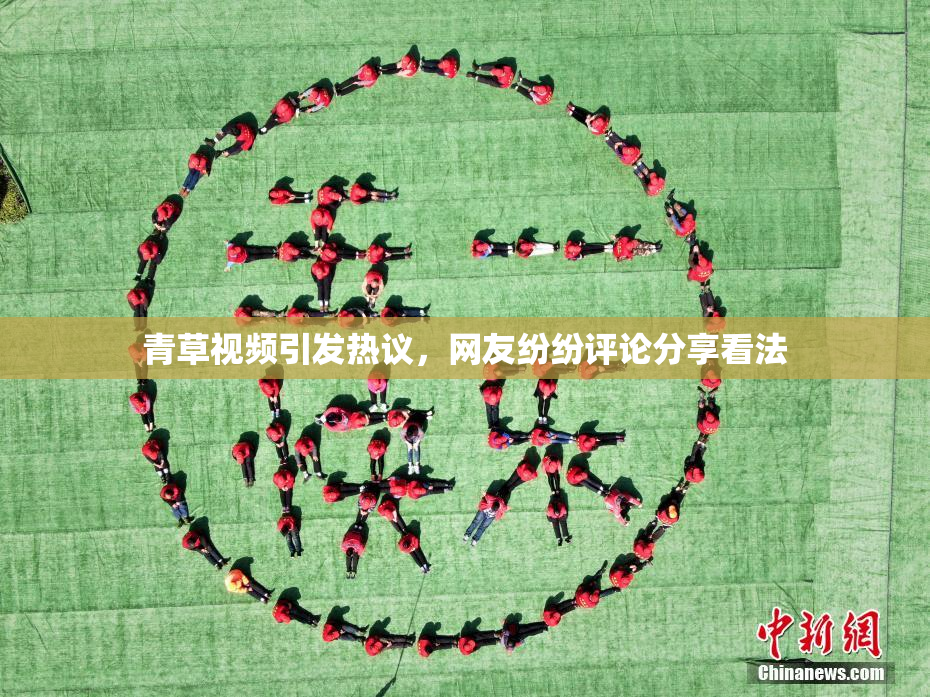 青草视频引发热议，网友纷纷评论分享看法