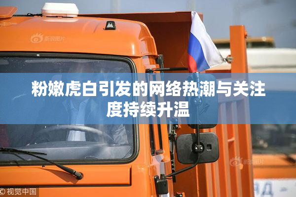 粉嫩虎白引发的网络热潮与关注度持续升温