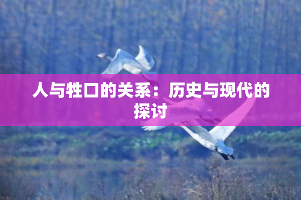 人与牲口的关系：历史与现代的探讨