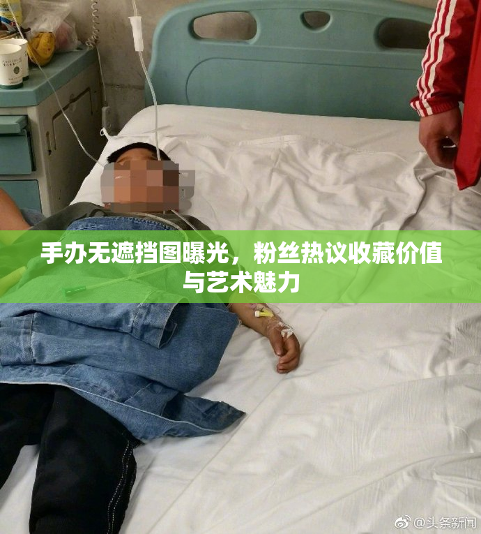 手办无遮挡图曝光，粉丝热议收藏价值与艺术魅力