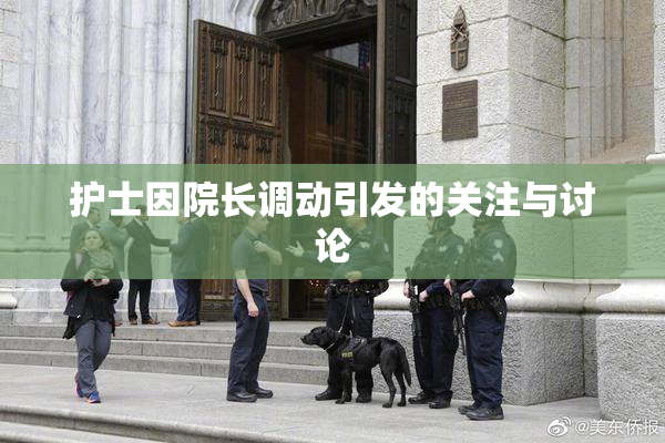 护士因院长调动引发的关注与讨论