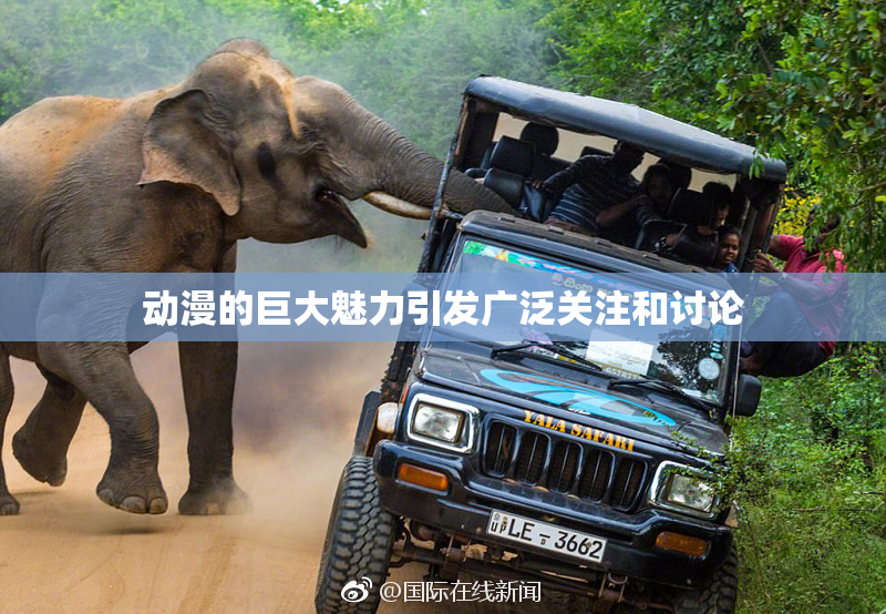 动漫的巨大魅力引发广泛关注和讨论
