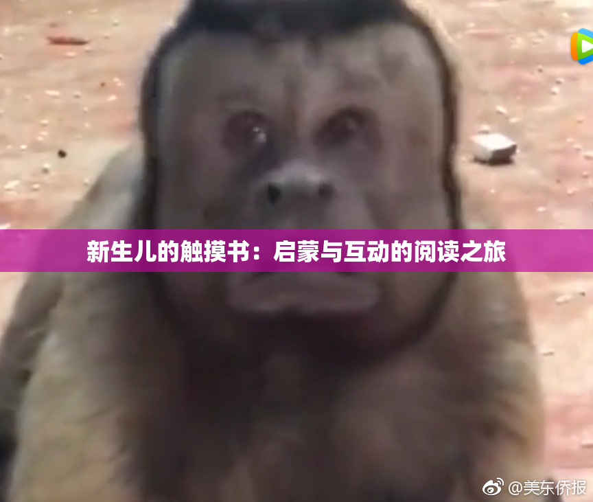 新生儿的触摸书：启蒙与互动的阅读之旅