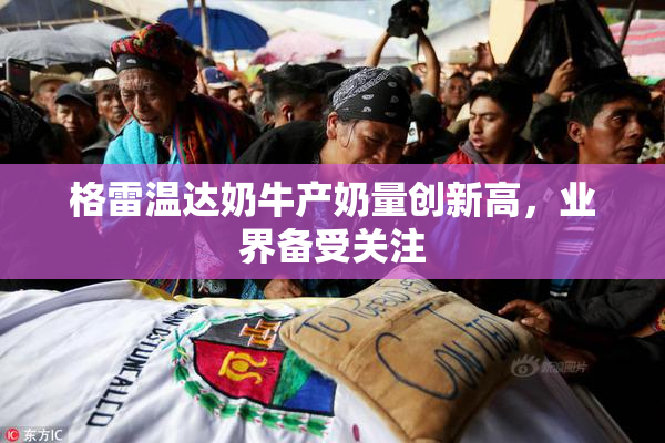 格雷温达奶牛产奶量创新高，业界备受关注