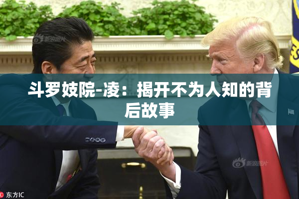 斗罗妓院-凌：揭开不为人知的背后故事