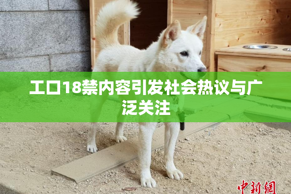 工口18禁内容引发社会热议与广泛关注