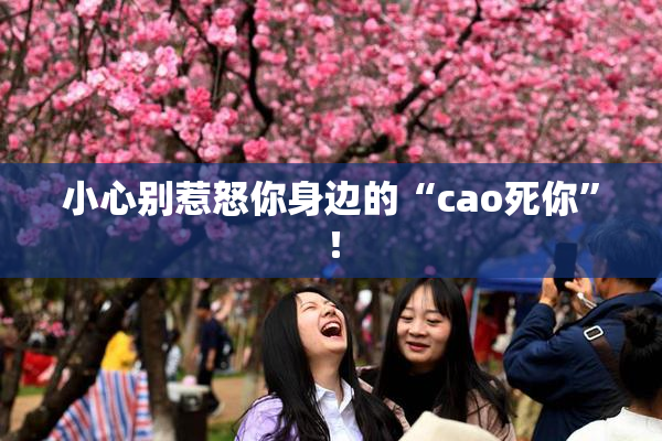 小心别惹怒你身边的“cao死你”！