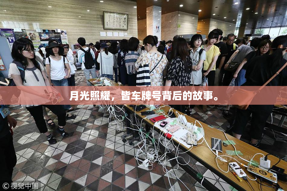月光照耀，皆车牌号背后的故事。