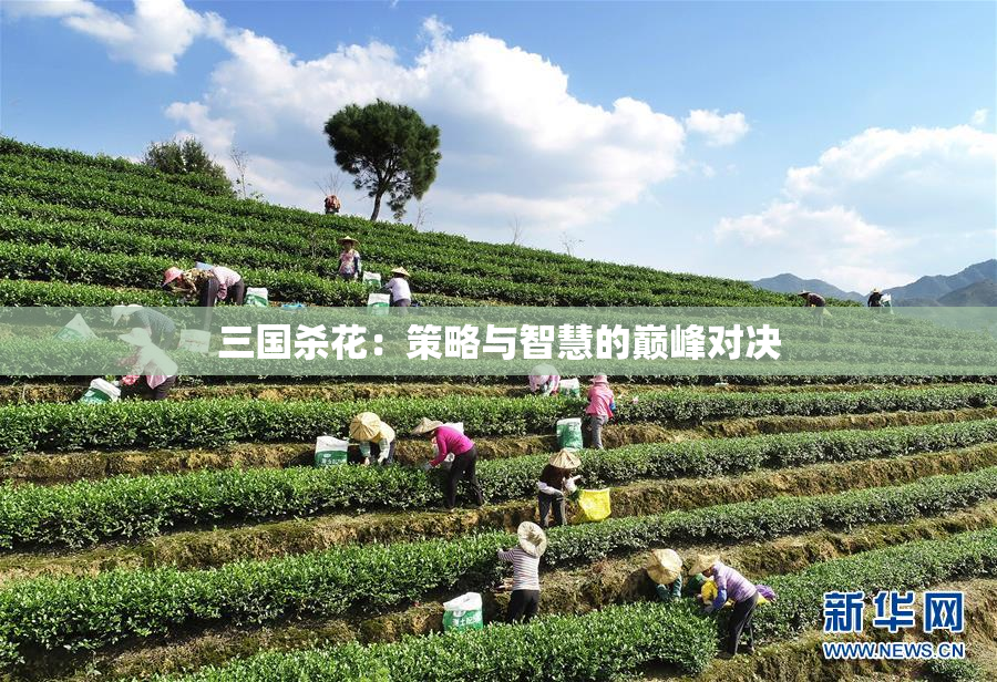 三国杀花：策略与智慧的巅峰对决