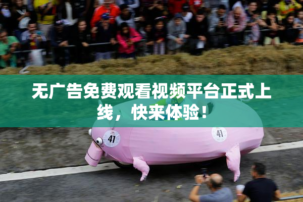 无广告免费观看视频平台正式上线，快来体验！