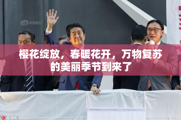 樱花绽放，春暖花开，万物复苏的美丽季节到来了