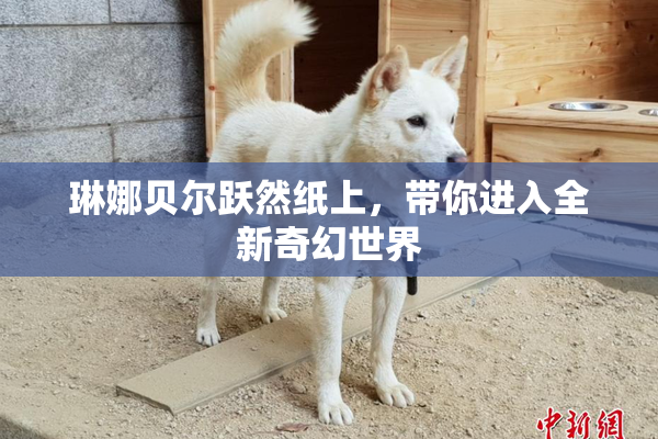 琳娜贝尔跃然纸上，带你进入全新奇幻世界