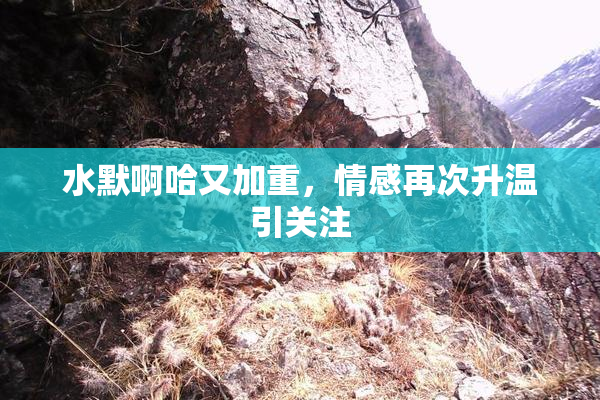 水默啊哈又加重，情感再次升温引关注