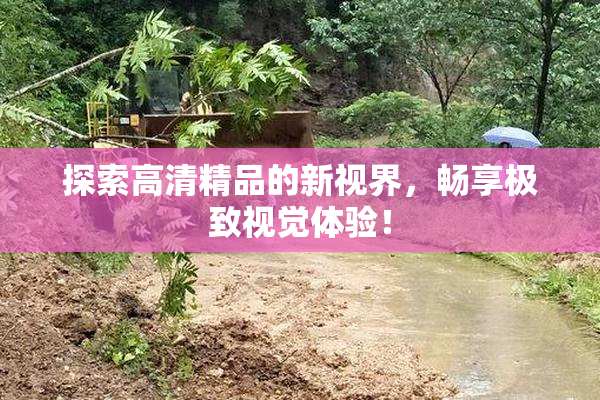 探索高清精品的新视界，畅享极致视觉体验！