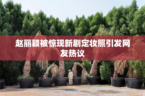 赵丽颖被惊现新剧定妆照引发网友热议