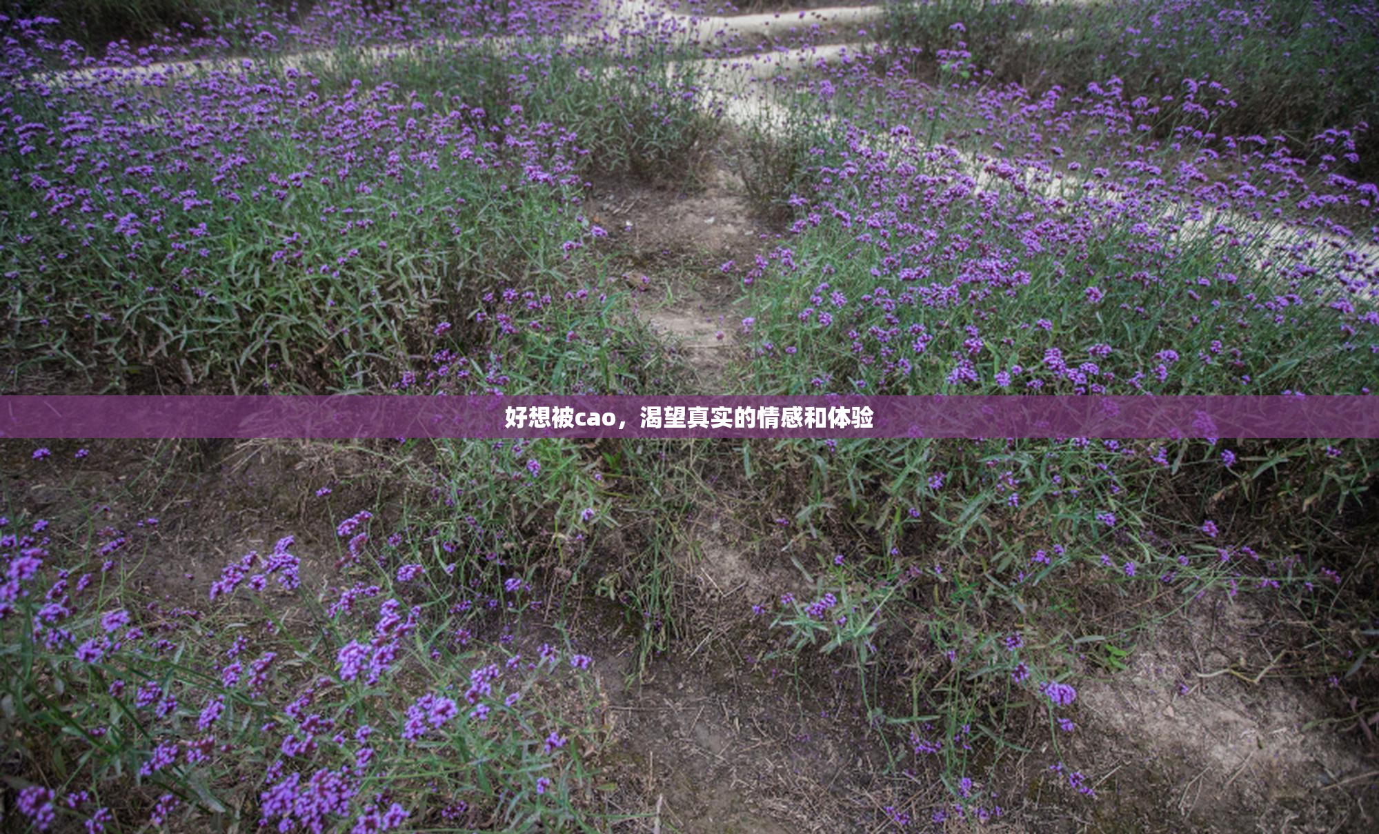 好想被cao，渴望真实的情感和体验