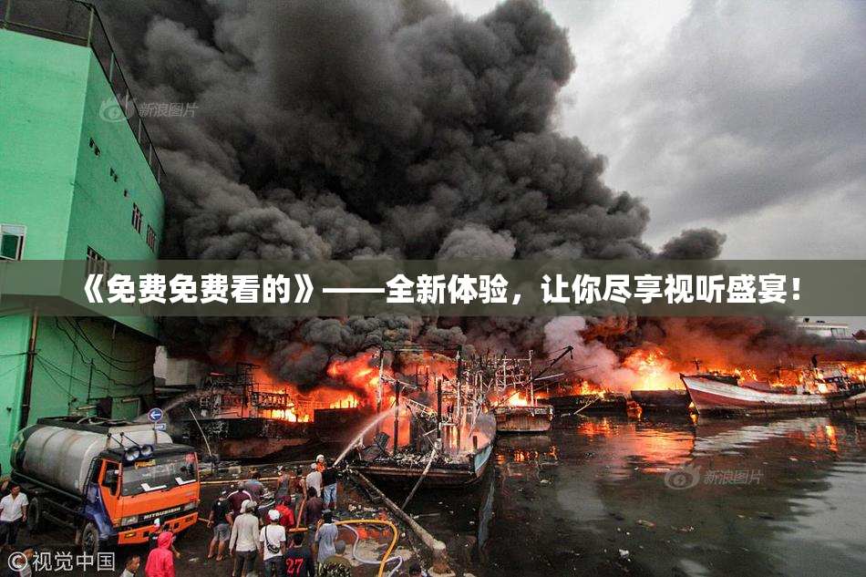 《免费免费看的》——全新体验，让你尽享视听盛宴！