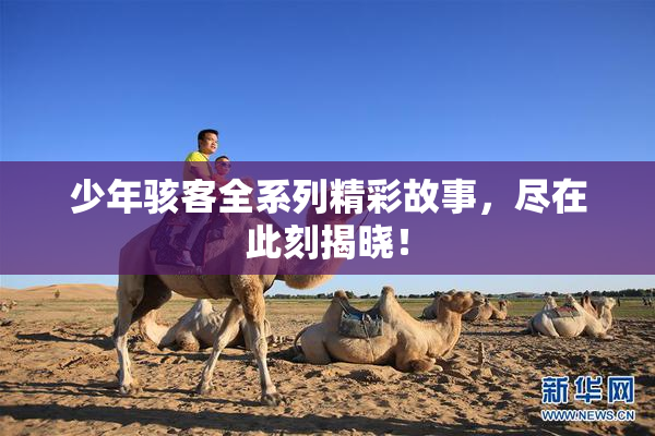 少年骇客全系列精彩故事，尽在此刻揭晓！