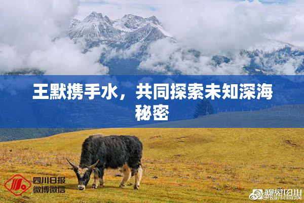 王默携手水，共同探索未知深海秘密