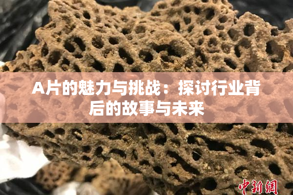 A片的魅力与挑战：探讨行业背后的故事与未来