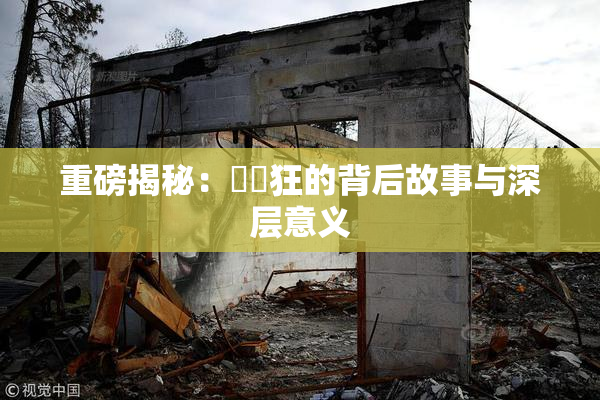 重磅揭秘：❌‌狂的背后故事与深层意义