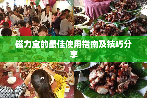 磁力宝的最佳使用指南及技巧分享