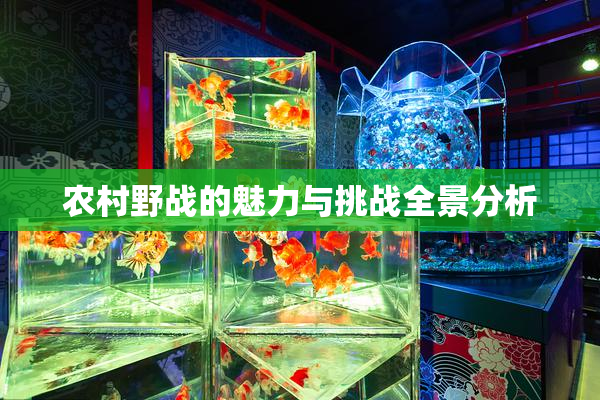 农村野战的魅力与挑战全景分析