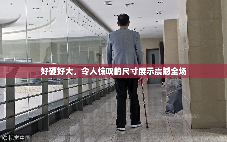 好硬好大，令人惊叹的尺寸展示震撼全场