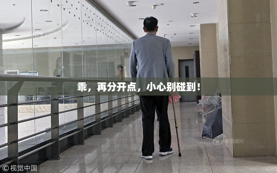 乖，再分开点，小心别碰到！