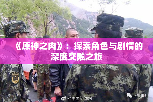 《原神之肉》：探索角色与剧情的深度交融之旅