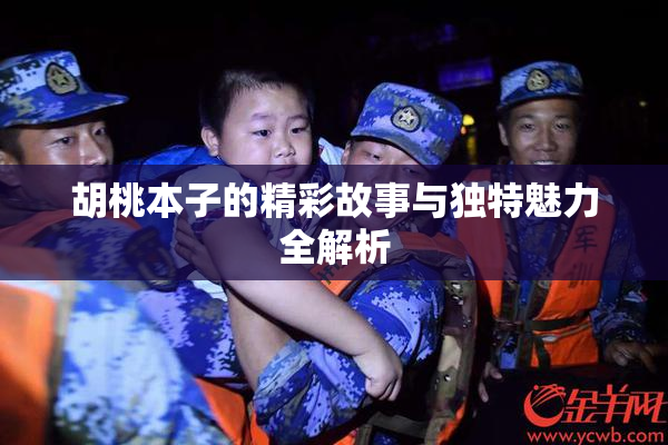 胡桃本子的精彩故事与独特魅力全解析
