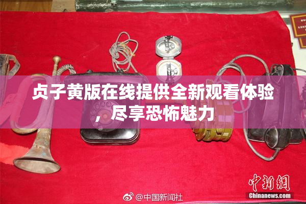 贞子黄版在线提供全新观看体验，尽享恐怖魅力
