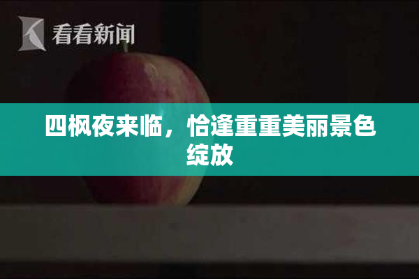 四枫夜来临，恰逢重重美丽景色绽放