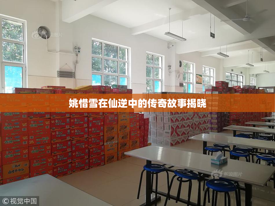 姚惜雪在仙逆中的传奇故事揭晓