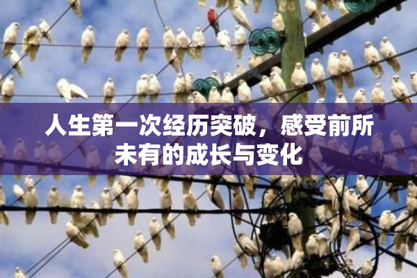 人生第一次经历突破，感受前所未有的成长与变化